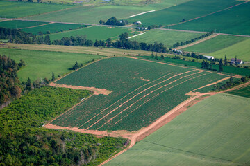 Agriculture Prince Edward Island Canada