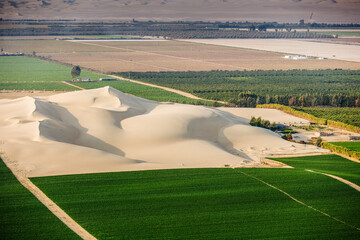 Agriculture in Desert Terrain of Los Molinos Peru
