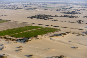 Agriculture in Desert Terrain of Los Molinos Peru