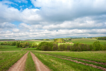 Fototapeta na wymiar Rural dirt road in rural areas. Green fields, trees and a sky with beautiful clouds. Beautiful spring landscape.