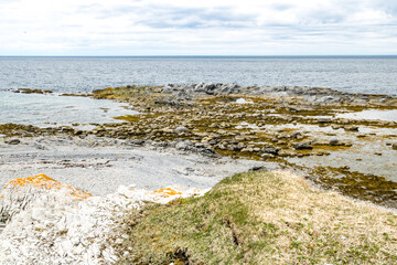 Shoreline along the bay, Bellburne, Newfoundland, Canada