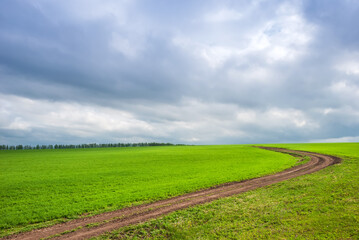 Rural dirt road in rural areas. Green fields and overcast sky. Beautiful spring landscape.