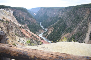 Grand Canyon of Yellowstone