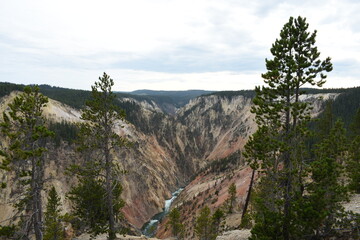 Grand Canyon of Yellowstone