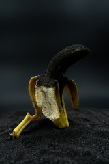 An open banana covered in ash over volcanic ash. La Palma eruption