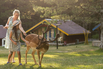 Child feeding wild deer at petting zoo. Kids feed animals at outdoor. Little girl watching reindeer on a farm. Kid and pet animal. Family summer trip to zoological garden. Herd of deers.
