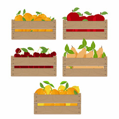 Wooden box set with fruits, Case with orange, lemon, apple, pear and cherry isolated on white background. Vector illustration
