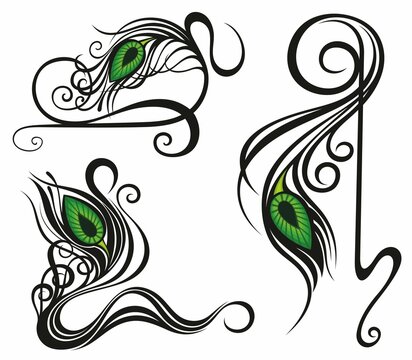 Eye of the Peacock Feathers. Illustration Vector