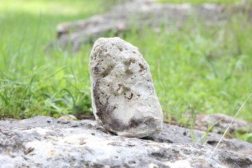 a stone in the forest