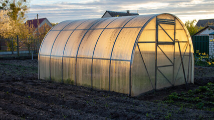 Polycarbonate greenhouse in the garden. The greenhouse is used for growing organic plants at home....