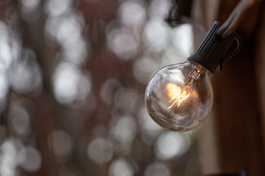 A close up of an edison light bulb on a fence.