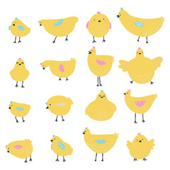 Set of hens and chickens. Domestic bird. Baby flat vector illustration.