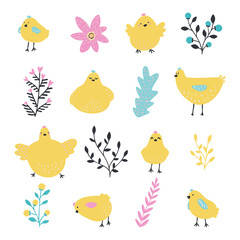 Set of hens and chickens. Domestic bird. Baby flat vector illustration.