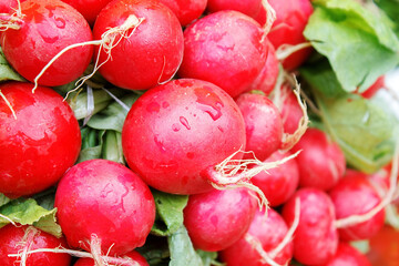 Red radish on the market counter