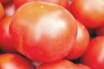 Red ripe tomatoes background. Market, store shelves.