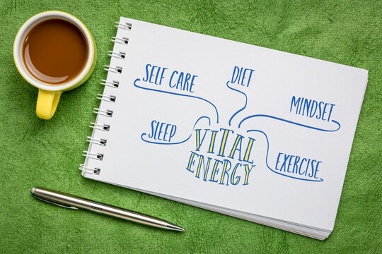 vital energy mind map (diet, mindset, exercise, sleep and self care) - sketch in a spiral art sketchbook against green textured bark paper with a cup of coffee, wellness and healthy lifestyle concept