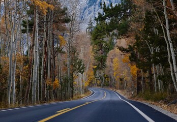 Obraz premium Road in autumn 