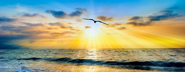 Sunset Ocean Bird Silhouette Inspiration Banner