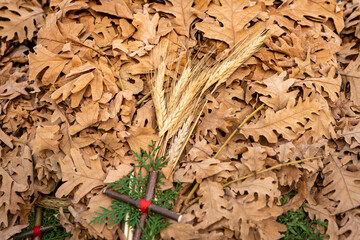 Young wheat and dried oak branches, Orthodox name for "Christmas Eve", inscription in Serbian "Merry Christmas"