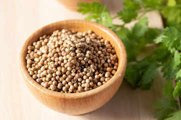 Coriander seeds in a wooden cup copy space