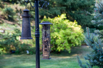 Two bird-feeders hang from a post in a garden with lush greenery in the background. Backyard birding is a great activity and encourages wildlife.