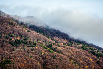 landscape with fog, Turiec, Slovakia, Europe