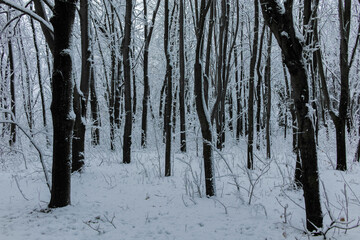 Winter view panorama of South Park in city of Sofia, Bulgaria