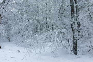 Winter view panorama of South Park in city of Sofia, Bulgaria