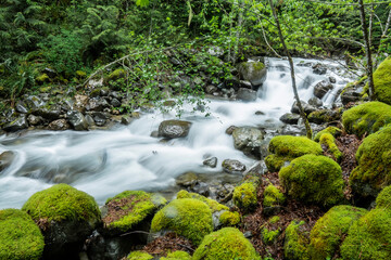 Obraz premium water cascades