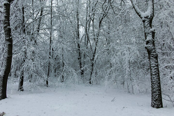 Winter view panorama of South Park in city of Sofia, Bulgaria