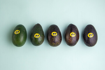 avocato