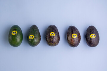avocato