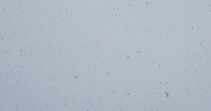 Slow-motion stock footage of snowflakes falling from the sky during a snowfall blizzard in Vancouver, Canada