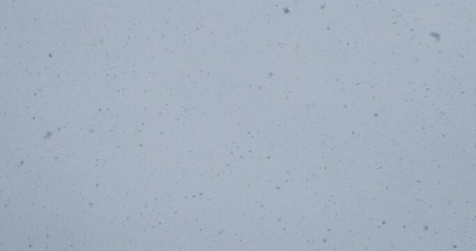 Slow-motion stock footage of snowflakes falling from the sky during a snowfall blizzard in Vancouver, Canada