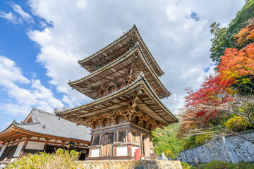 Fototapeta premium 壺阪寺