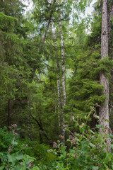 Moon Bay, Kanas Lake, Xinjiang, China