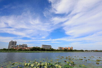 Beautiful waterfront city scenery under blue sky and white clouds, North China