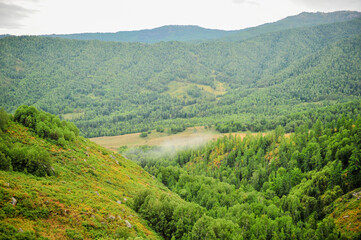 Mountains, forests, natural scenery, under the background of cloudy weather. In Xinjiang, China.