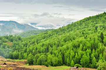 Mountains, forests, natural scenery, under the background of cloudy weather. In Xinjiang, China.