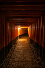 Fototapeta premium The Senbon Torii, Thousands Torii Gate, at Fushimi Inari Taisha Shinto shrine at night.
