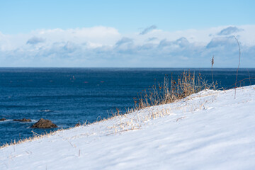 真冬の海