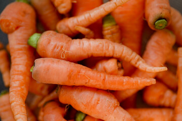 Carrots are good for your eyes.