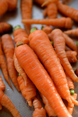 Carrots are good for your eyes.