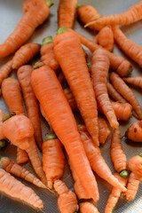 Carrots are good for your eyes.