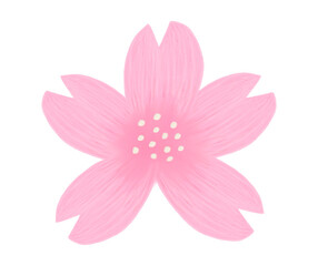 手書き風　桜の花の絵