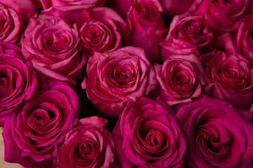 Rosas para Enamorados