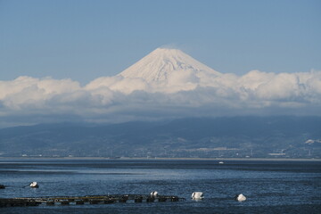 富士山