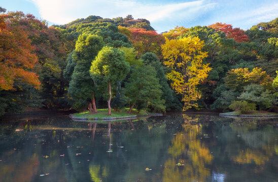 Heike Pond of Genpei ponds at Tsurugaoka Hachimangu shrine. Kamakura. Japan