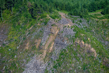 Looging Industry and Clearcuts in Washington USA