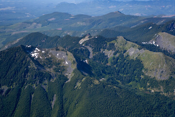Lumber Forests Washington USA
